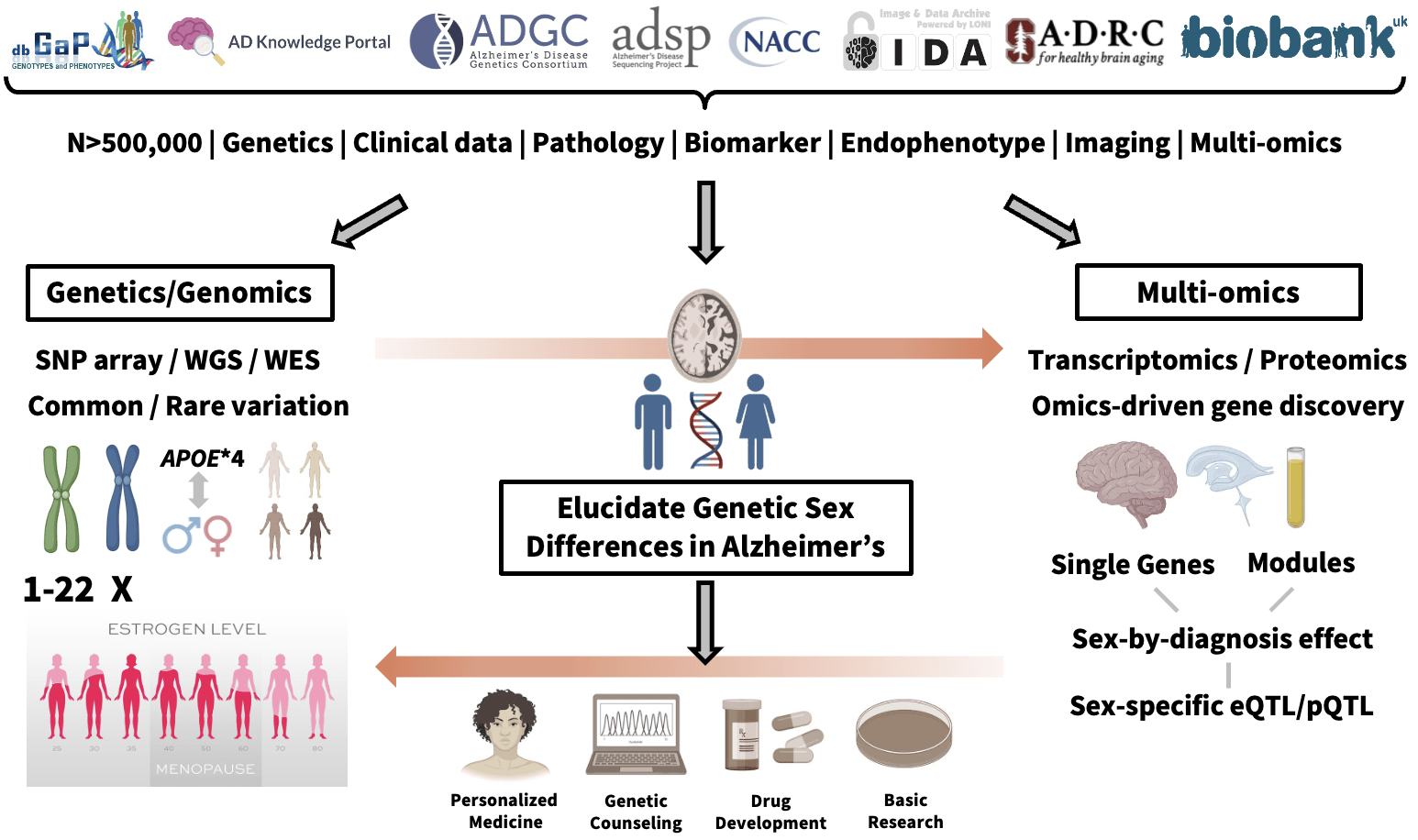 Schematic overview of R00 research project to study sex dimorphism in the genetics of Alzheimer’s disease.