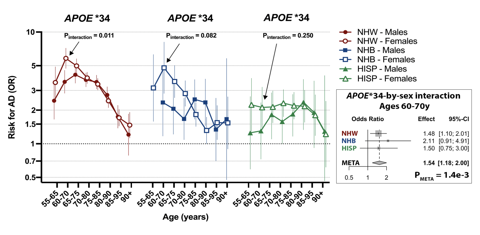 Increased Alzheimer’s disease risk due to APOE*34 in women compared to men, consistently observed across race and ethnicity groups (Belloy et al. 2023). Abbreviations: Alzheimer’s disease, AD; Odds Ratio, OR; non-Hispanic White, NHW; non-Hispanic Black, NHB; Hispanic, HISP.